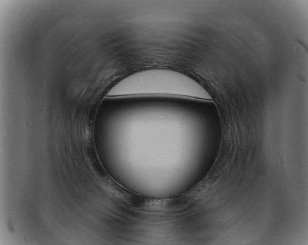 X0000092070084200709121034
