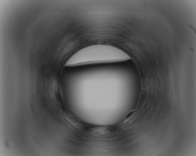 X0000092070086200709121034