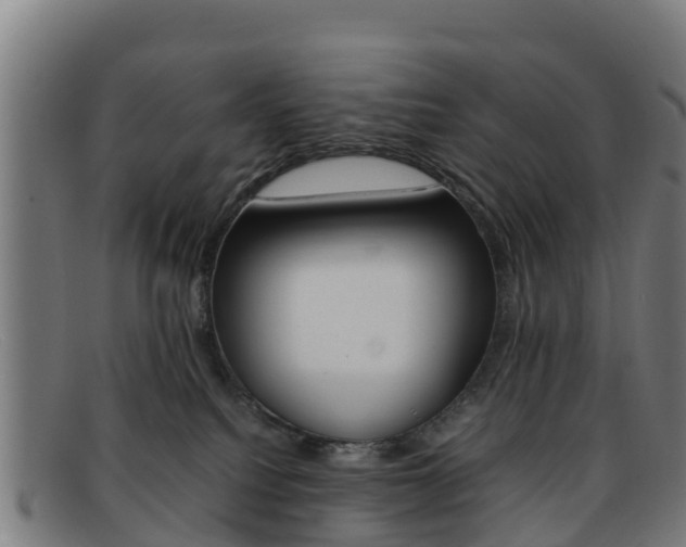 X0000092070088200709121034