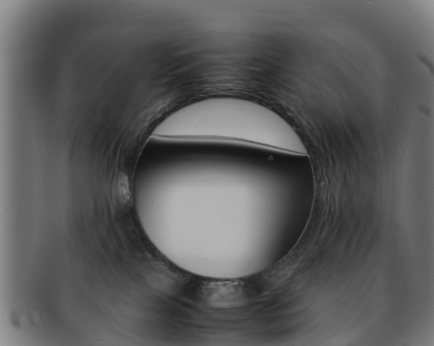X0000092070089200709121034