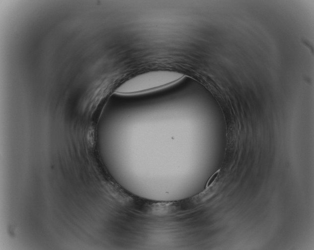 X0000092070090200709121034