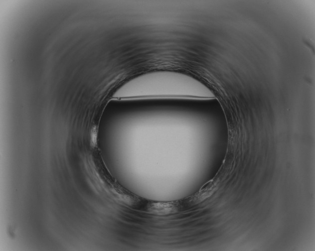 X0000092070095200709121034