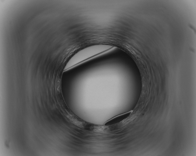 X0000092070096200709121034
