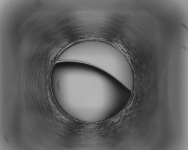 X0000092070097200709121033