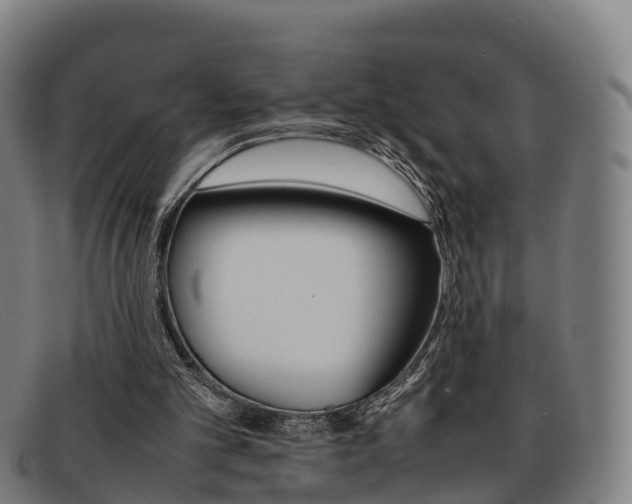 X0000092070101200709121033