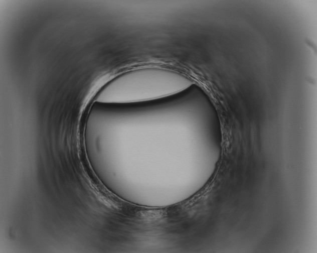 X0000092070102200709121033