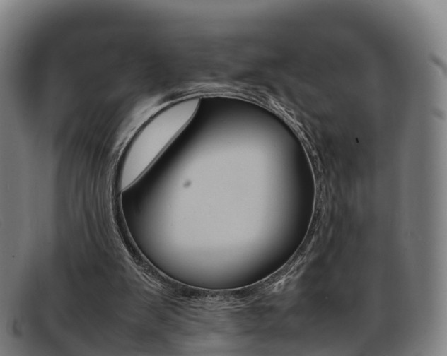 X0000092070103200709121033