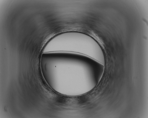 X0000092070107200709121033