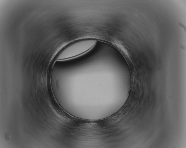 X0000092070108200709121033