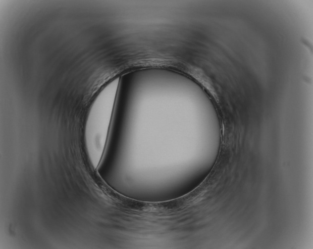 X0000092070109200709121033