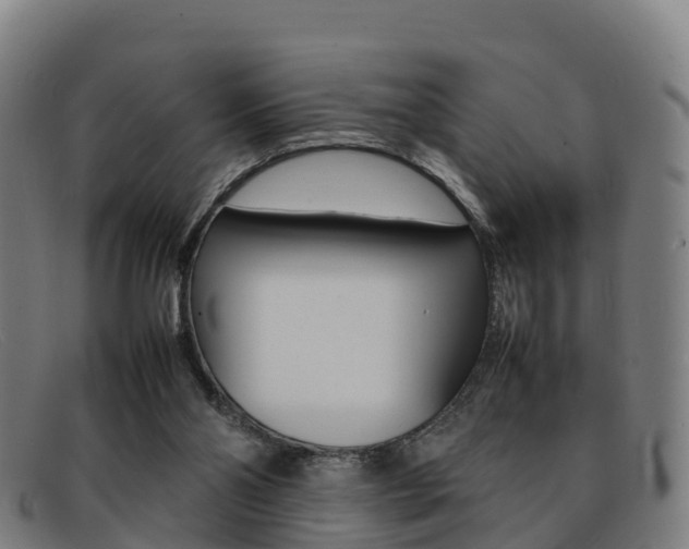 X0000092070110200709121033
