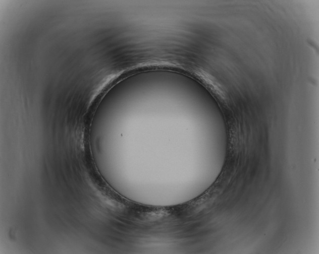 X0000092070112200709121033