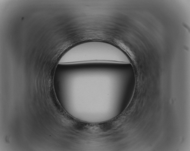 X0000092070113200709121033