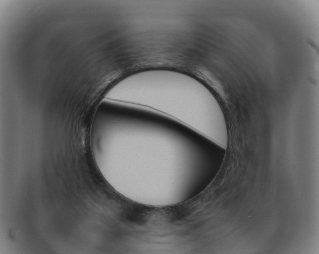 X0000092070115200709121033