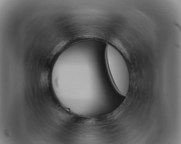 X0000092070116200709121033