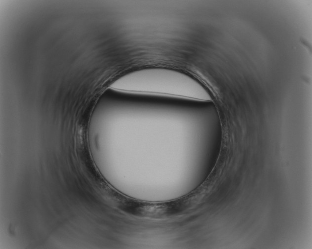 X0000092070117200709121033