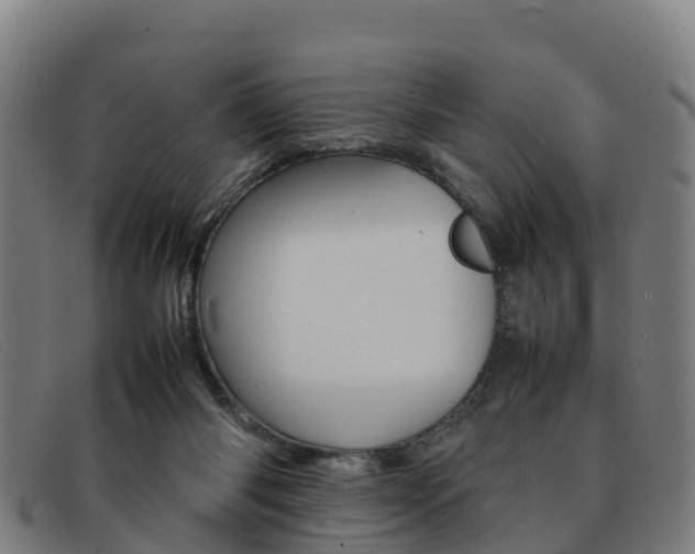 X0000092070118200709121033