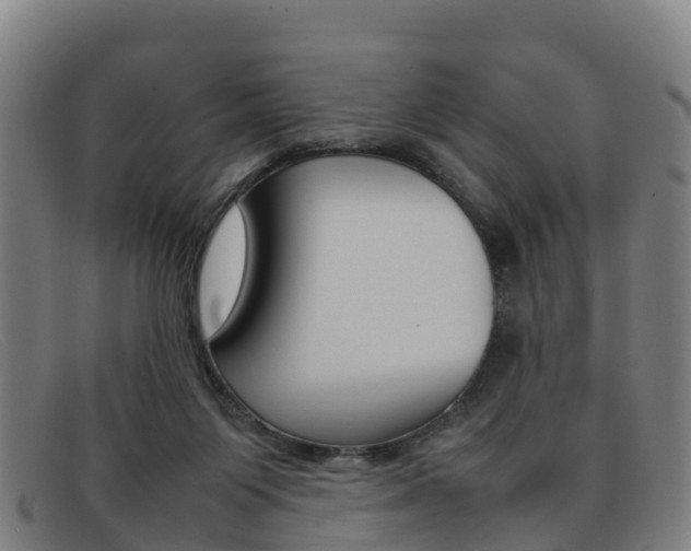 X0000092070119200709121033