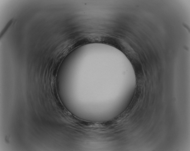 X0000092070125200709121033