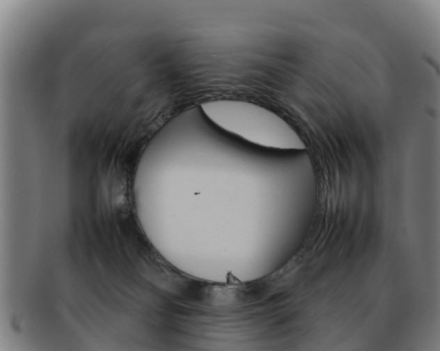 X0000092070134200709121033