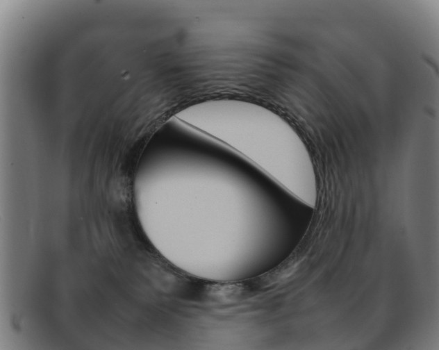 X0000092070135200709121033