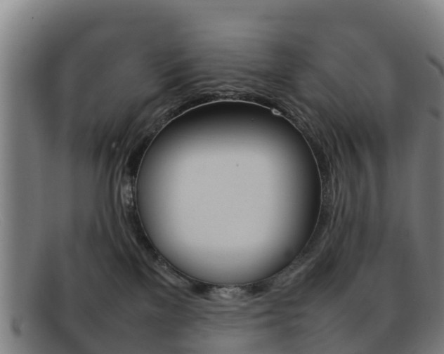 X0000092070137200709121033