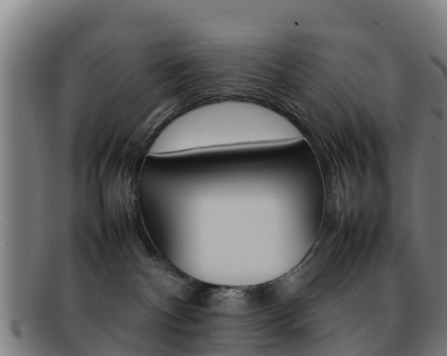 X0000092070140200709121033