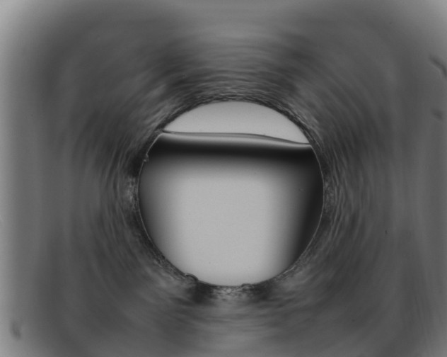 X0000092070141200709121033