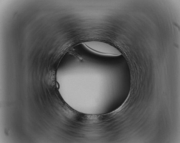 X0000092070144200709121033