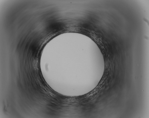 X0000092070146200709121032