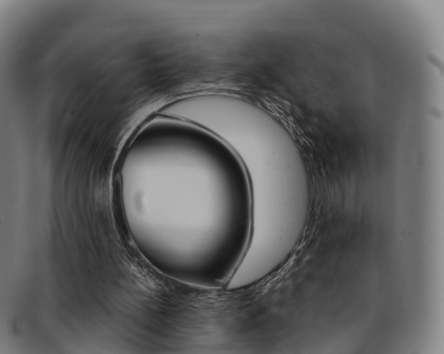 X0000092070148200709121032