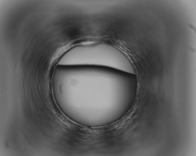 X0000092070149200709121032