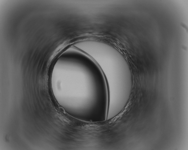 X0000092070150200709121032