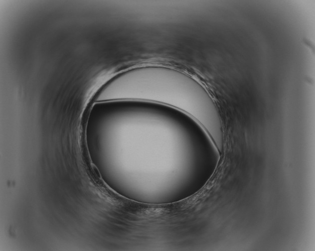 X0000092070152200709121032