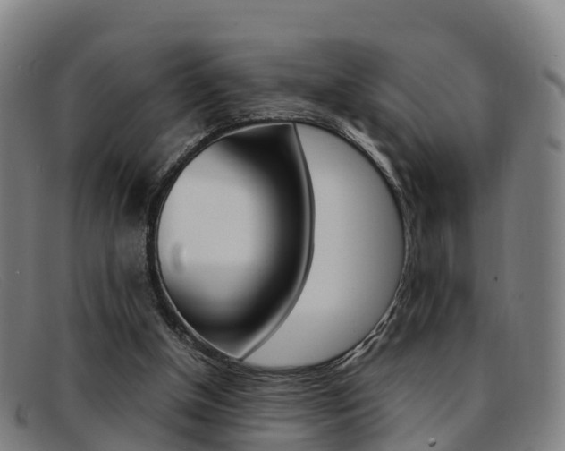 X0000092070154200709121032