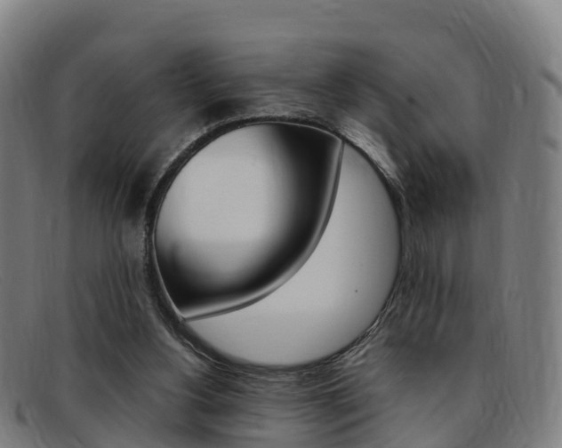 X0000092070156200709121032