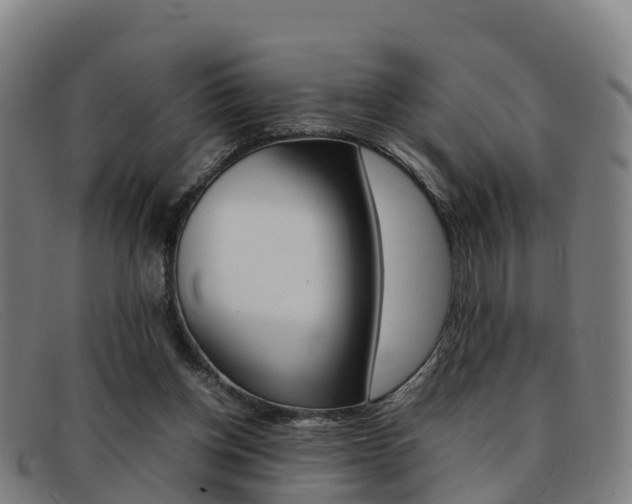 X0000092070158200709121032