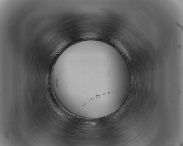 X0000092070159200709121032