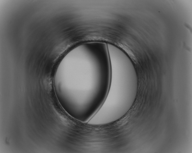 X0000092070160200709121032