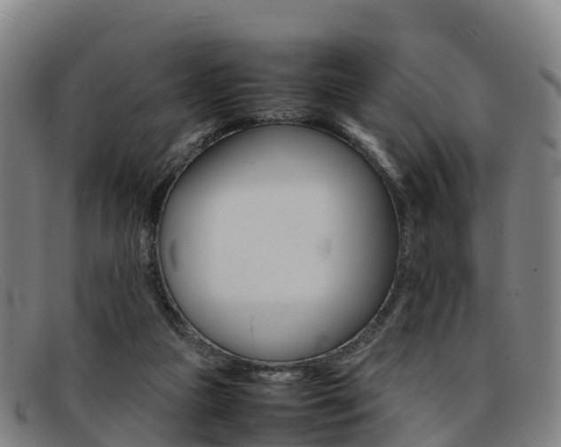 X0000092070161200709121033