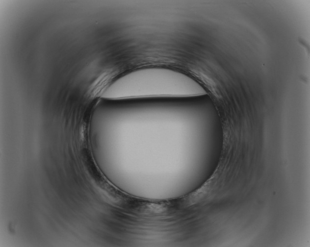 X0000092070166200709121033