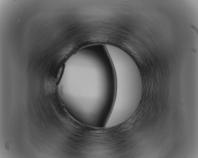 X0000092070168200709121033