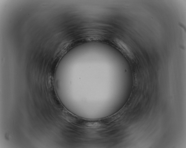 X0000092070169200709121033