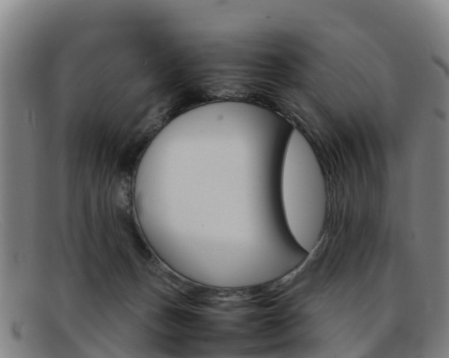 X0000092070175200709121033