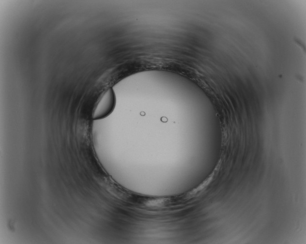 X0000092070178200709121033