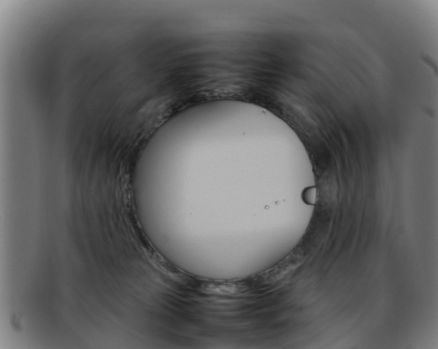 X0000092070181200709121033