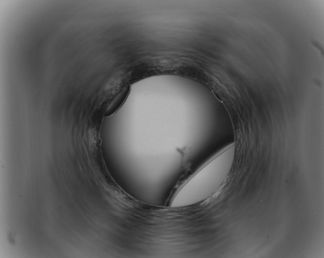 X0000092070184200709121033