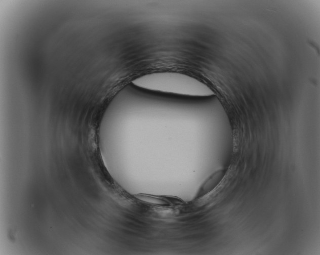 X0000092070187200709121033