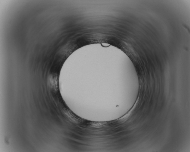X0000092070190200709121033