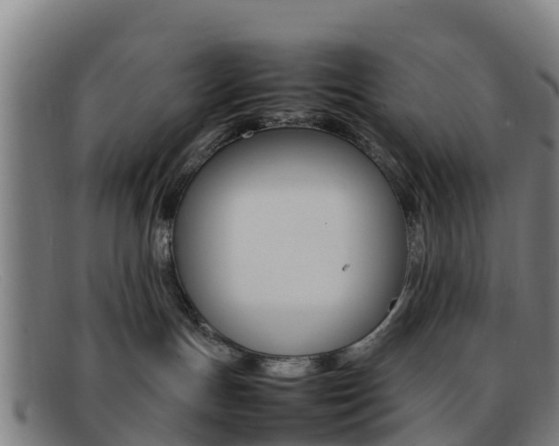 X0000092070191200709121033